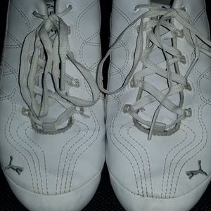 White pumas